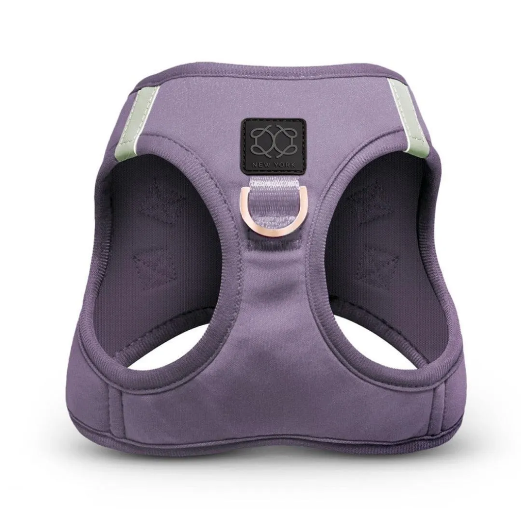 Soho Dog Walking Set - Lilac Gray