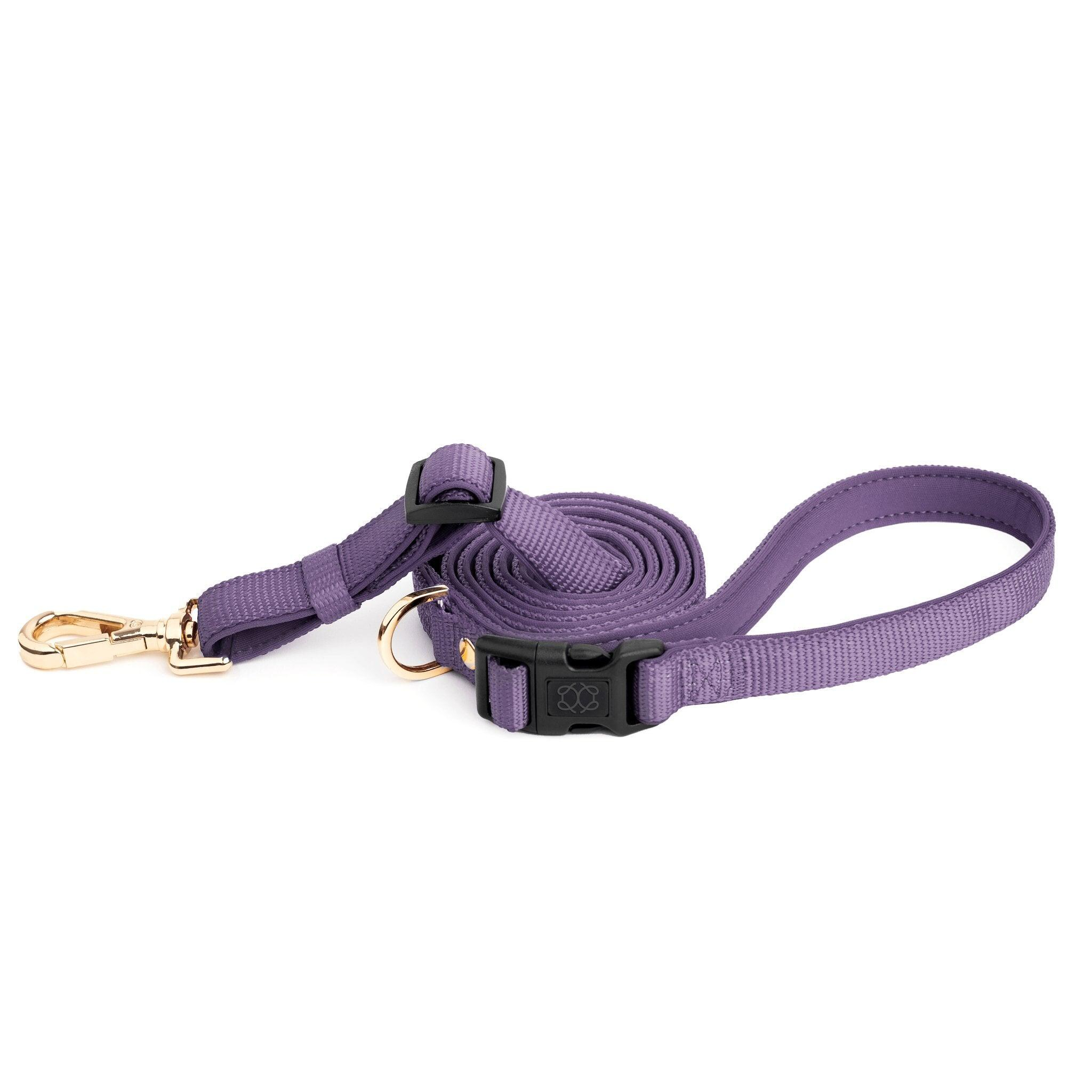 Soho Dog Walking Set - Lilac Gray
