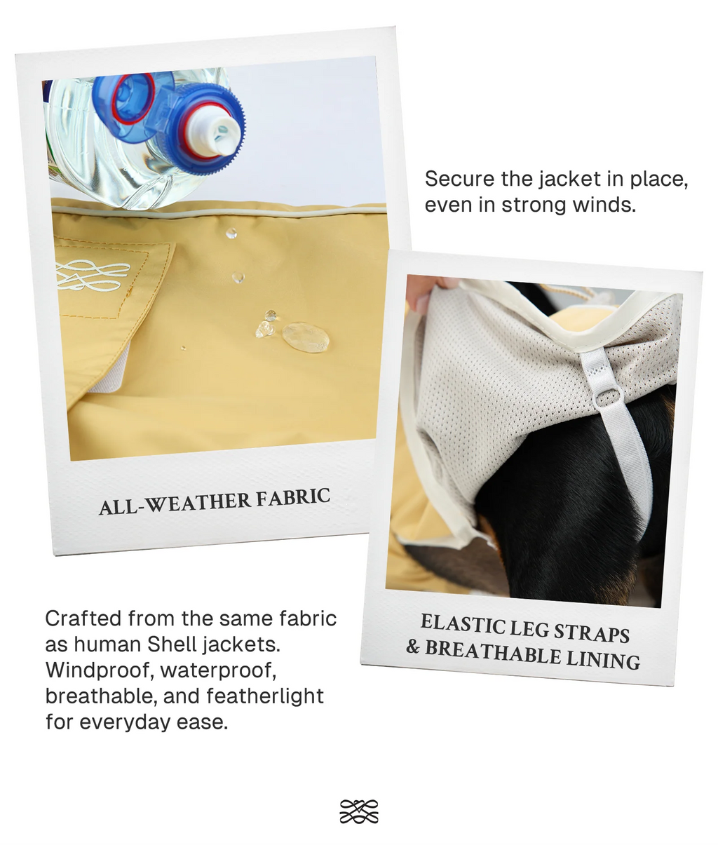 The All Weather Raincoat - Light Grey