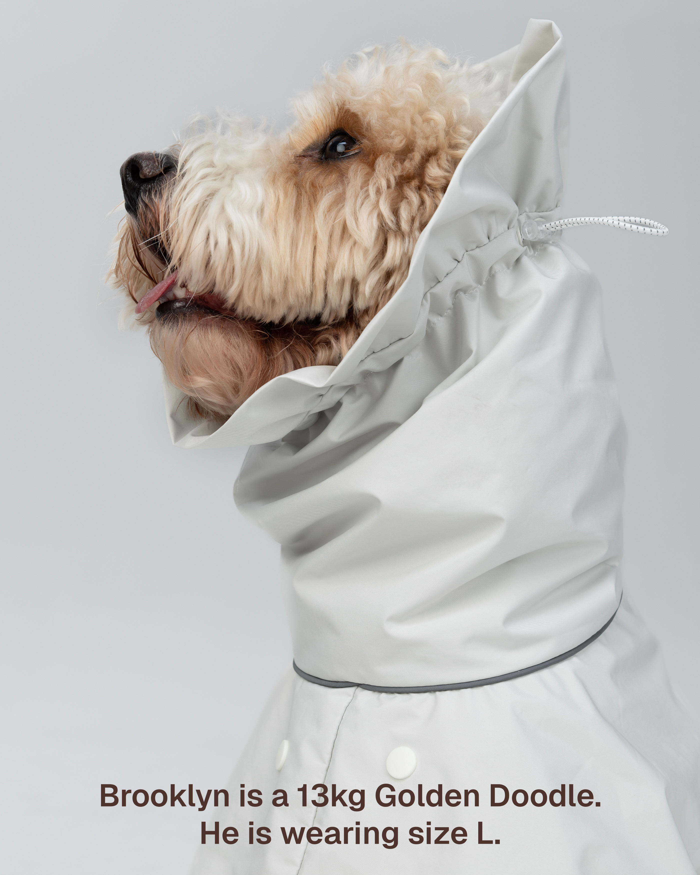 The All Weather Raincoat - Light Grey