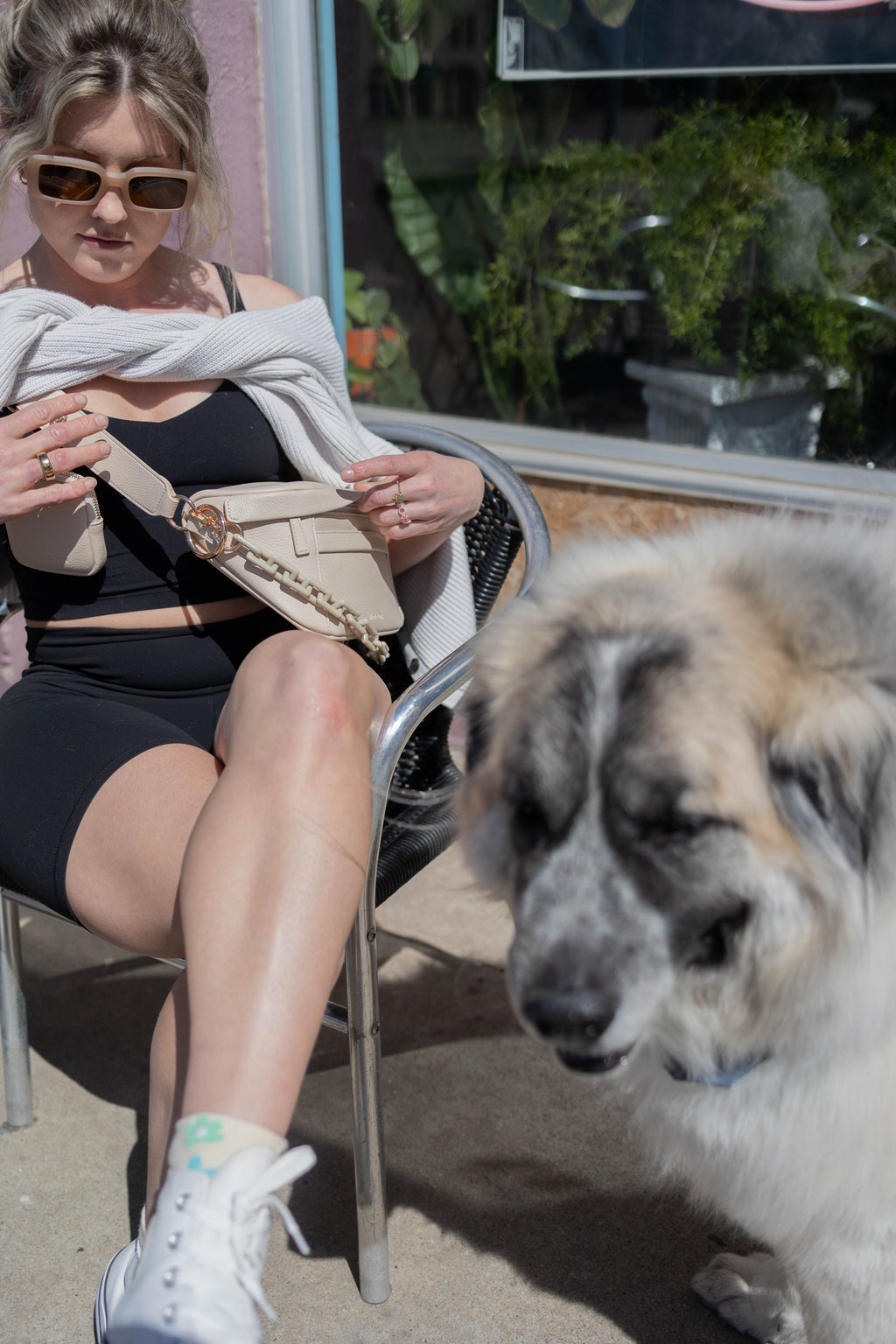 The Canine Carryall — Grand in Beige