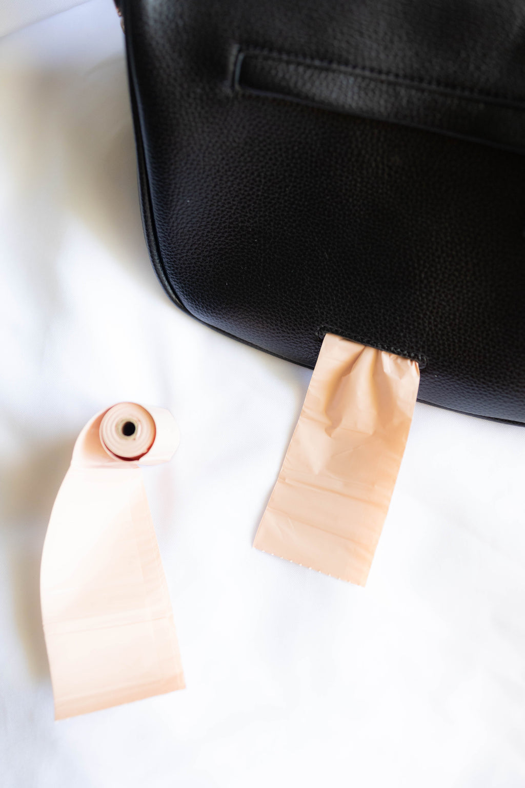 The Canine Carryall — Grand in Black