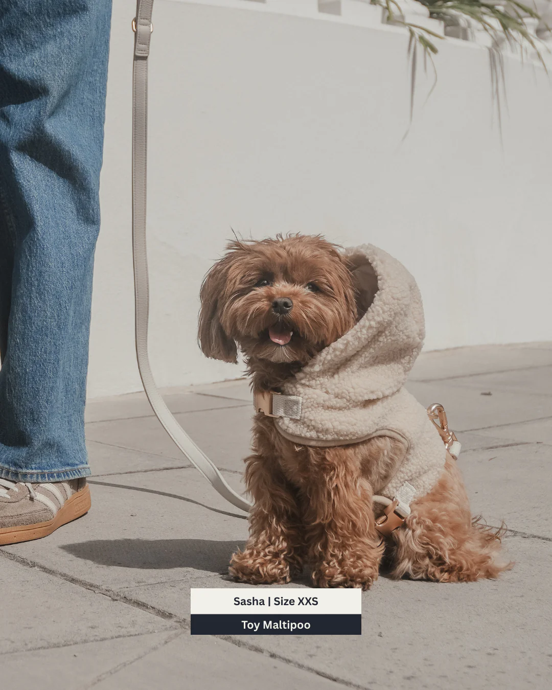 The Cosy Hoodie Harness