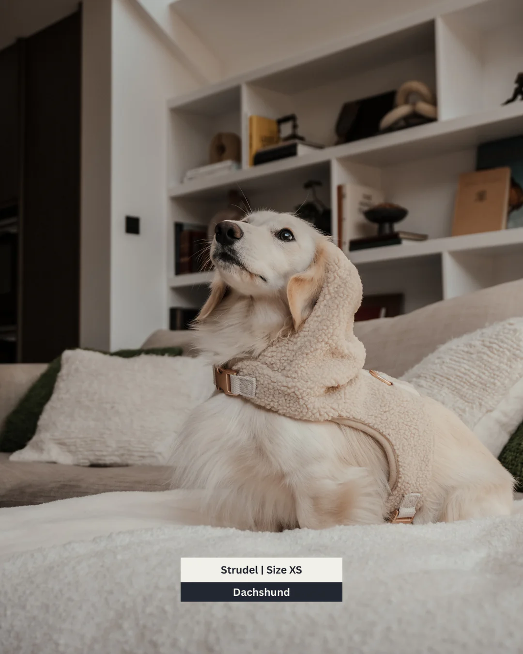 The Cosy Hoodie Harness