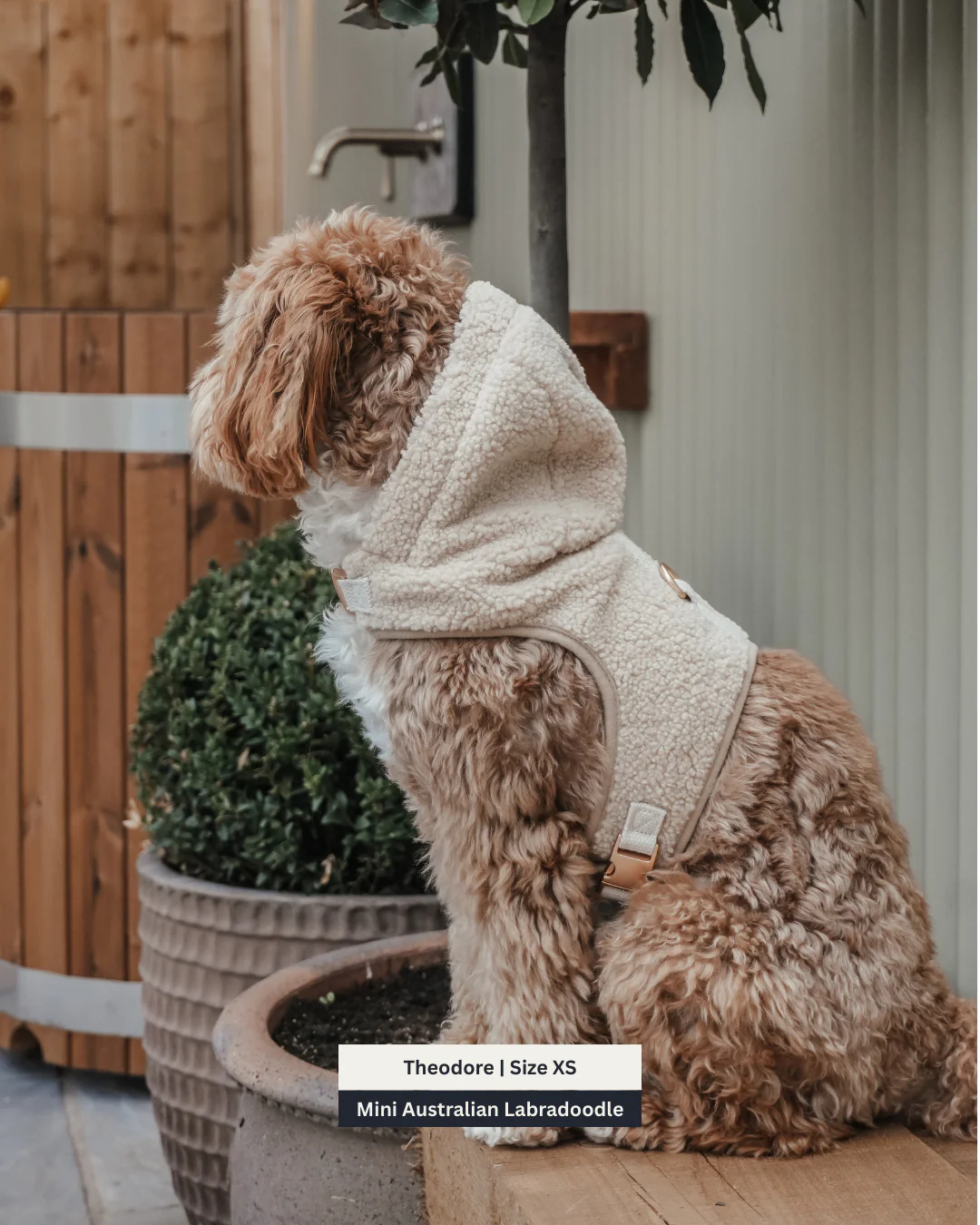 The Cosy Hoodie Harness