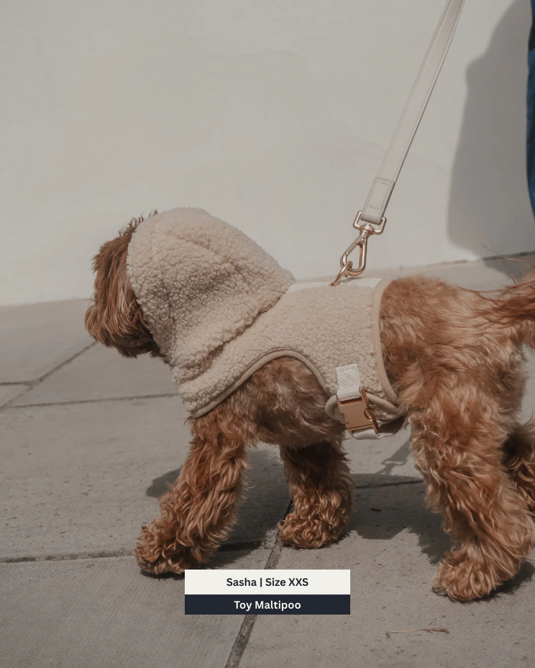 The Cosy Hoodie Harness