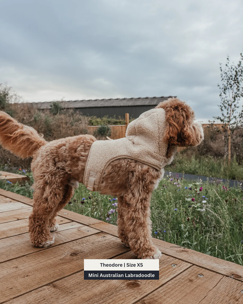 The Cosy Hoodie Harness