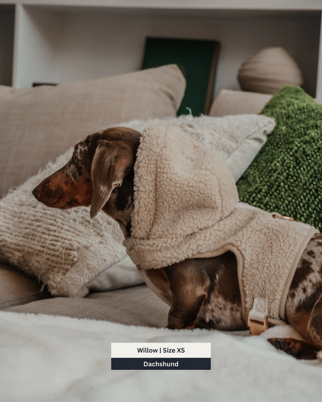 The Cosy Hoodie Harness