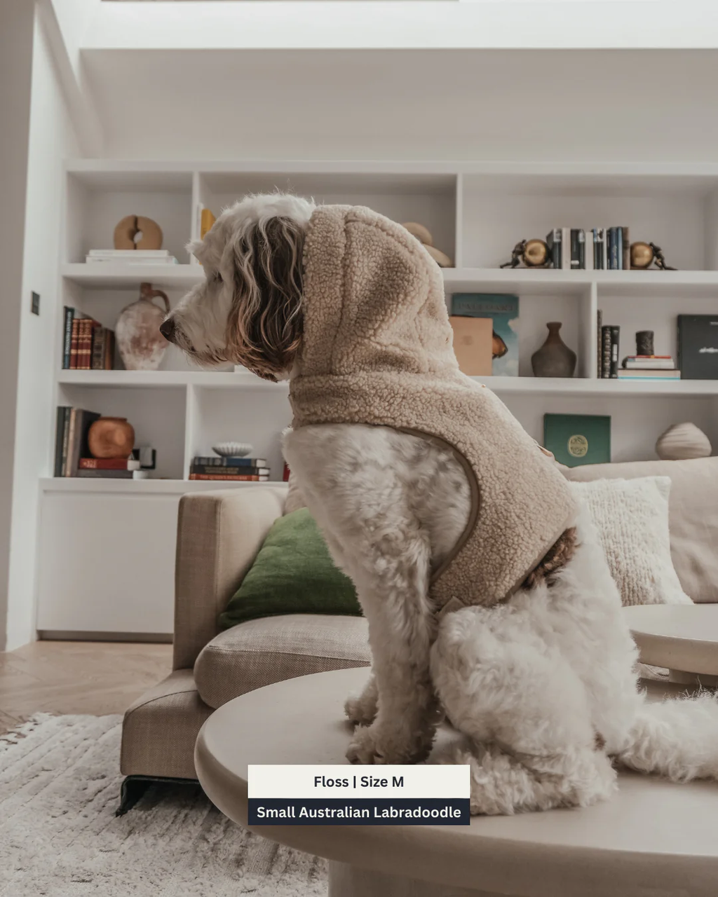 The Cosy Hoodie Harness