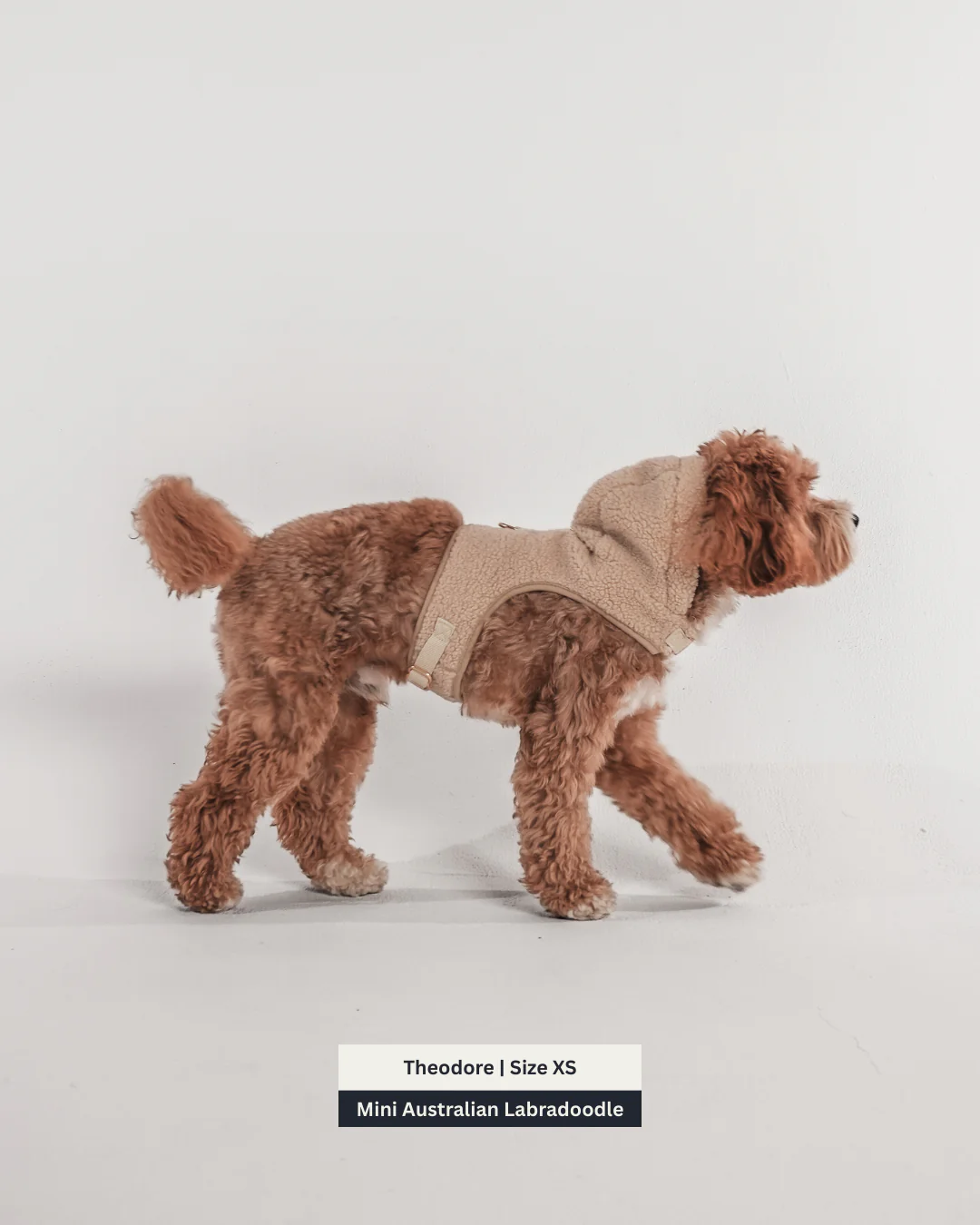 The Cosy Hoodie Harness