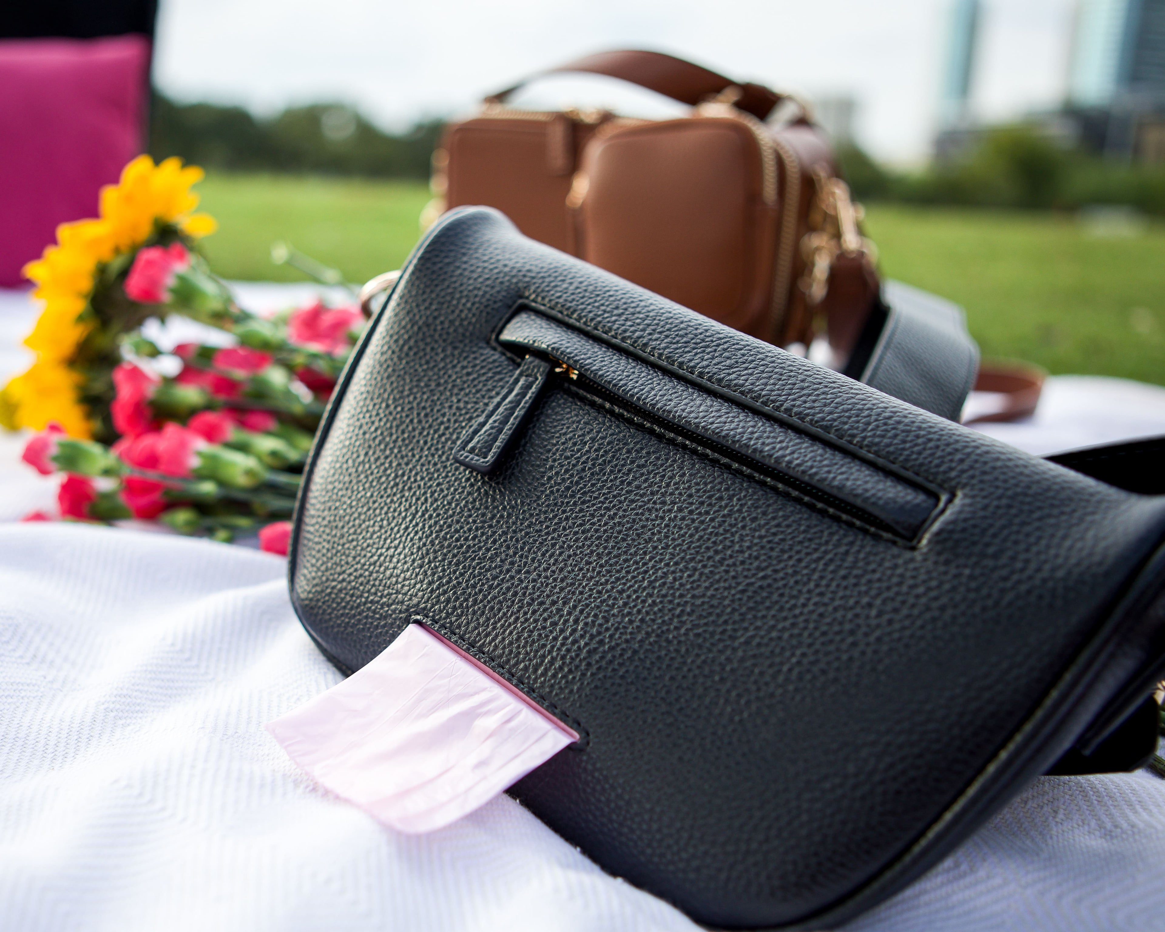 The Canine Carryall –  Black