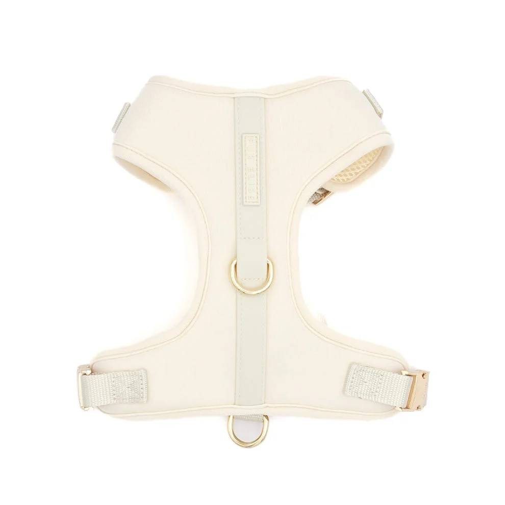 The Ultimate Walk Set - Bone