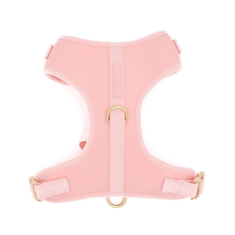 The Ultimate Walk Set - Rose
