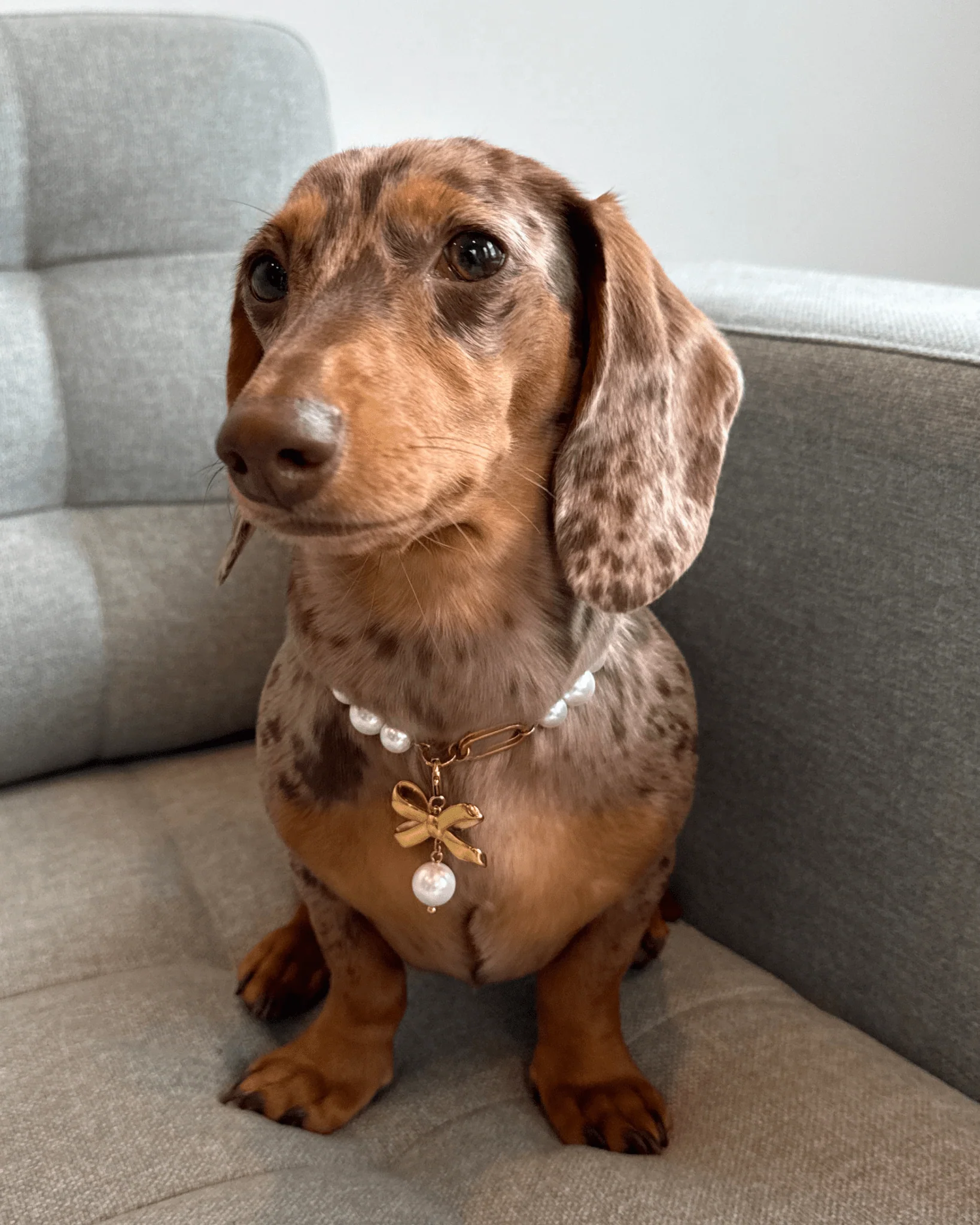The Zoe Necklace