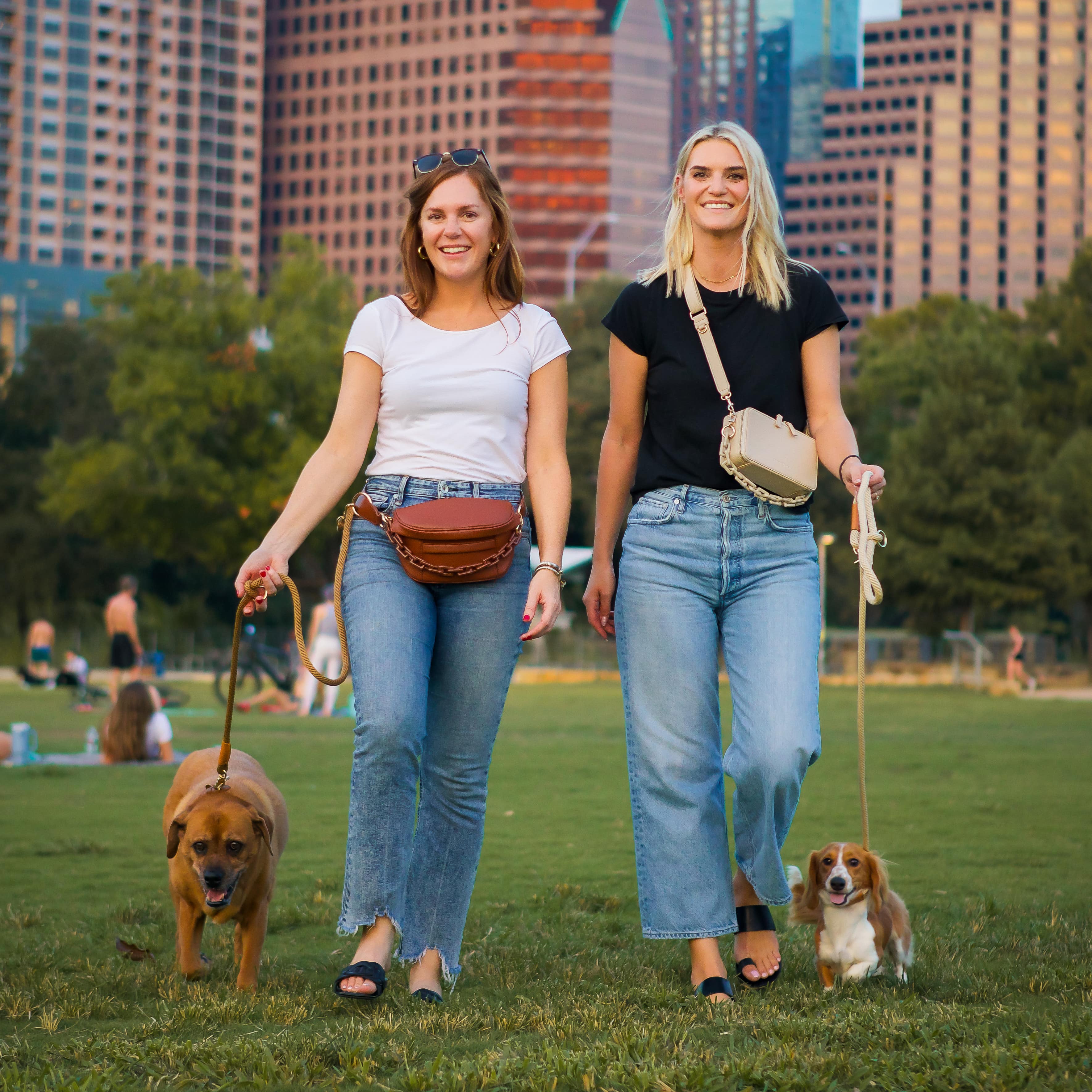 The Canine Carryall – Brown