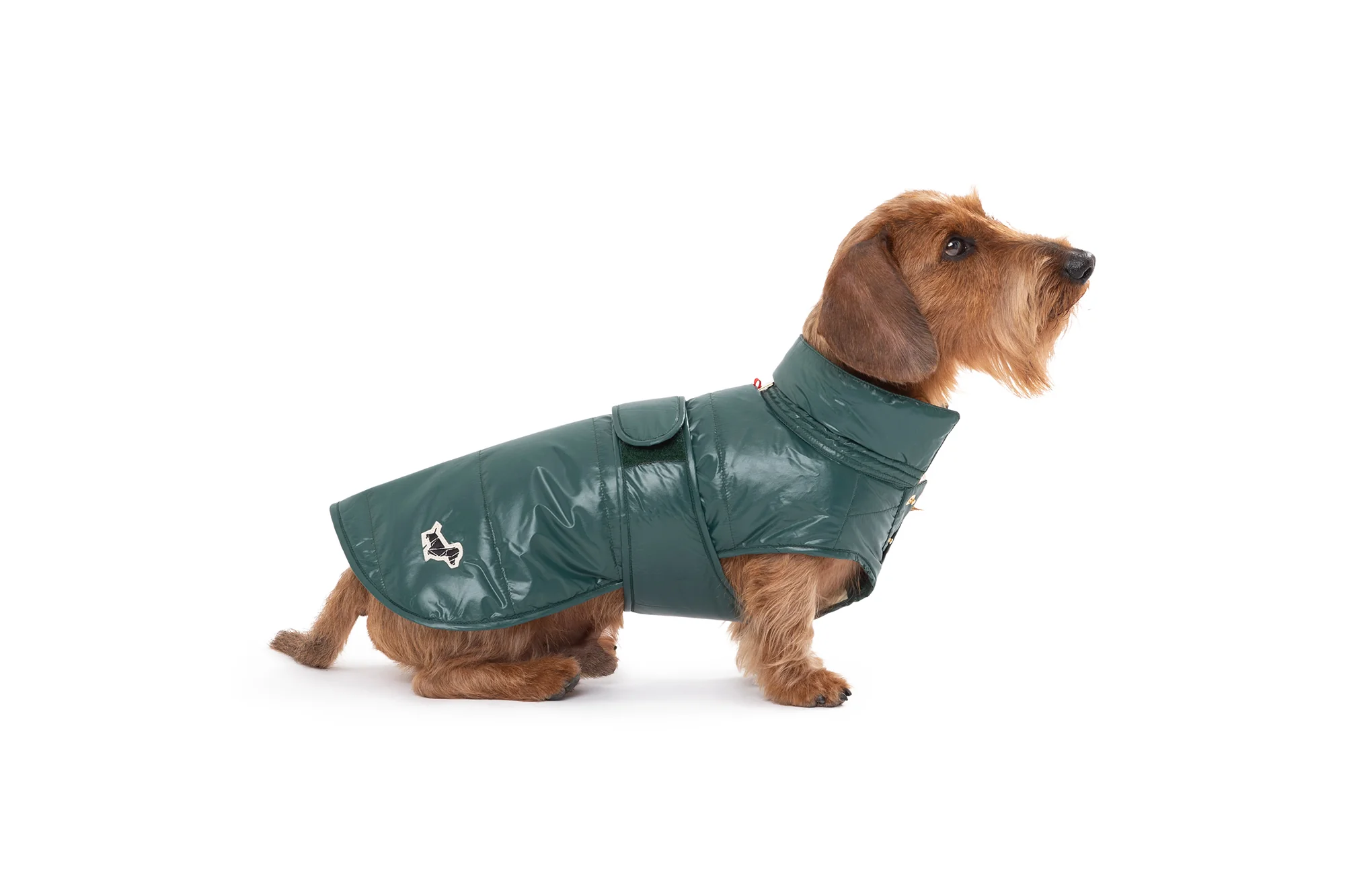 UNDERGROUND RAINCOAT