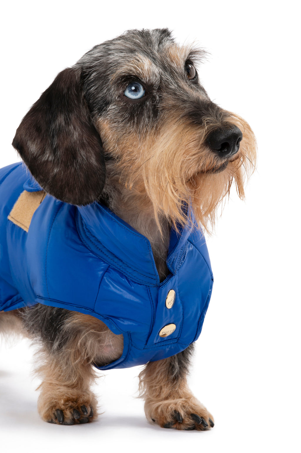 UNDERGROUND RAINCOAT