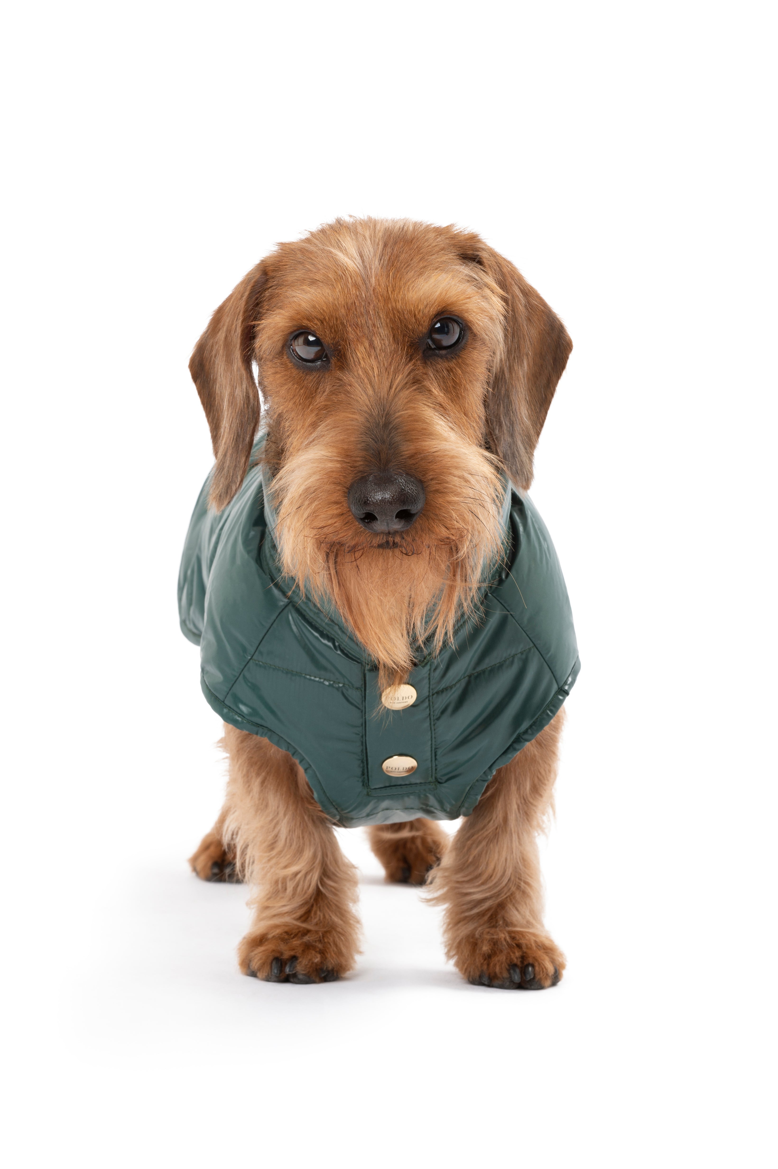 UNDERGROUND RAINCOAT