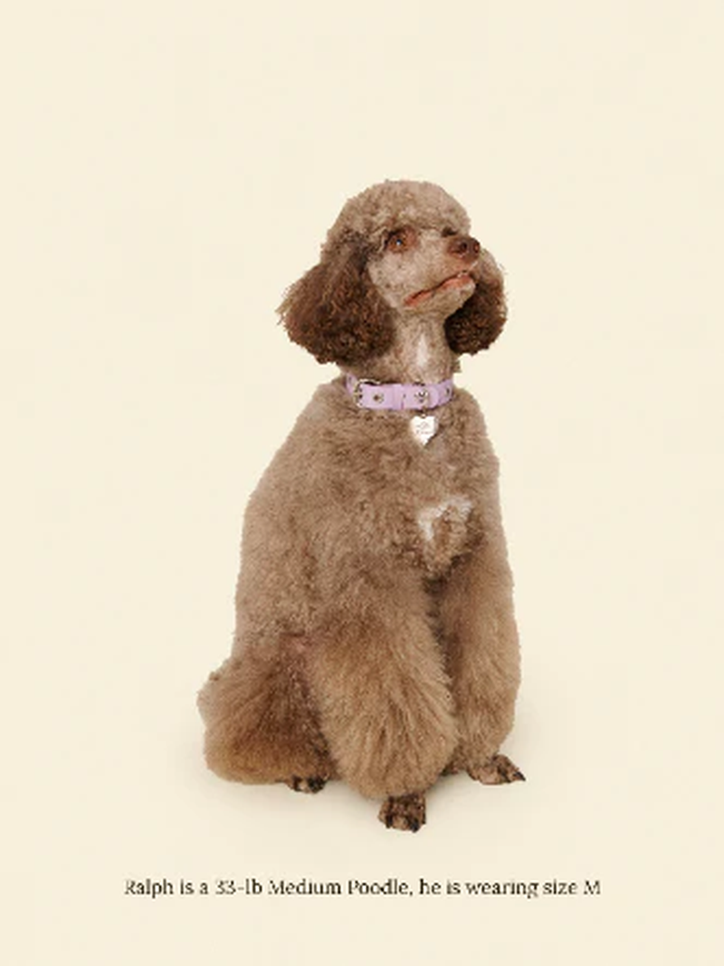 You Mean the World to Me Collar - Lilac