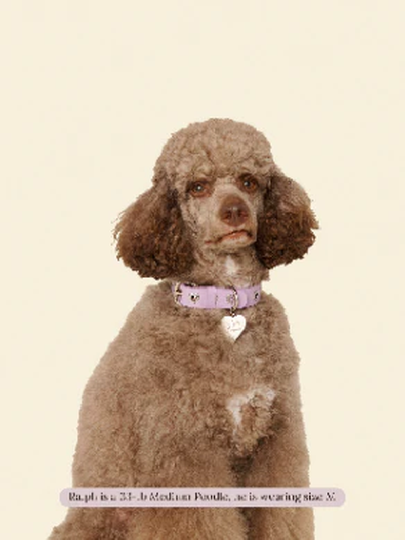 You Mean the World to Me Collar - Lilac