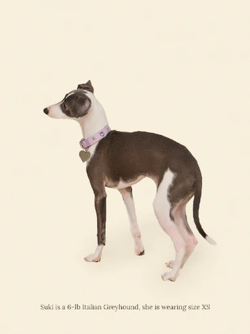 You Mean the World to Me Collar - Lilac