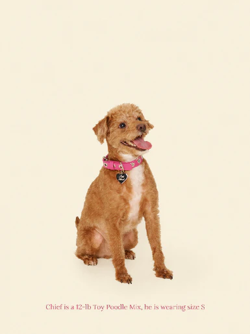 You Mean the World to Me Collar - Peony