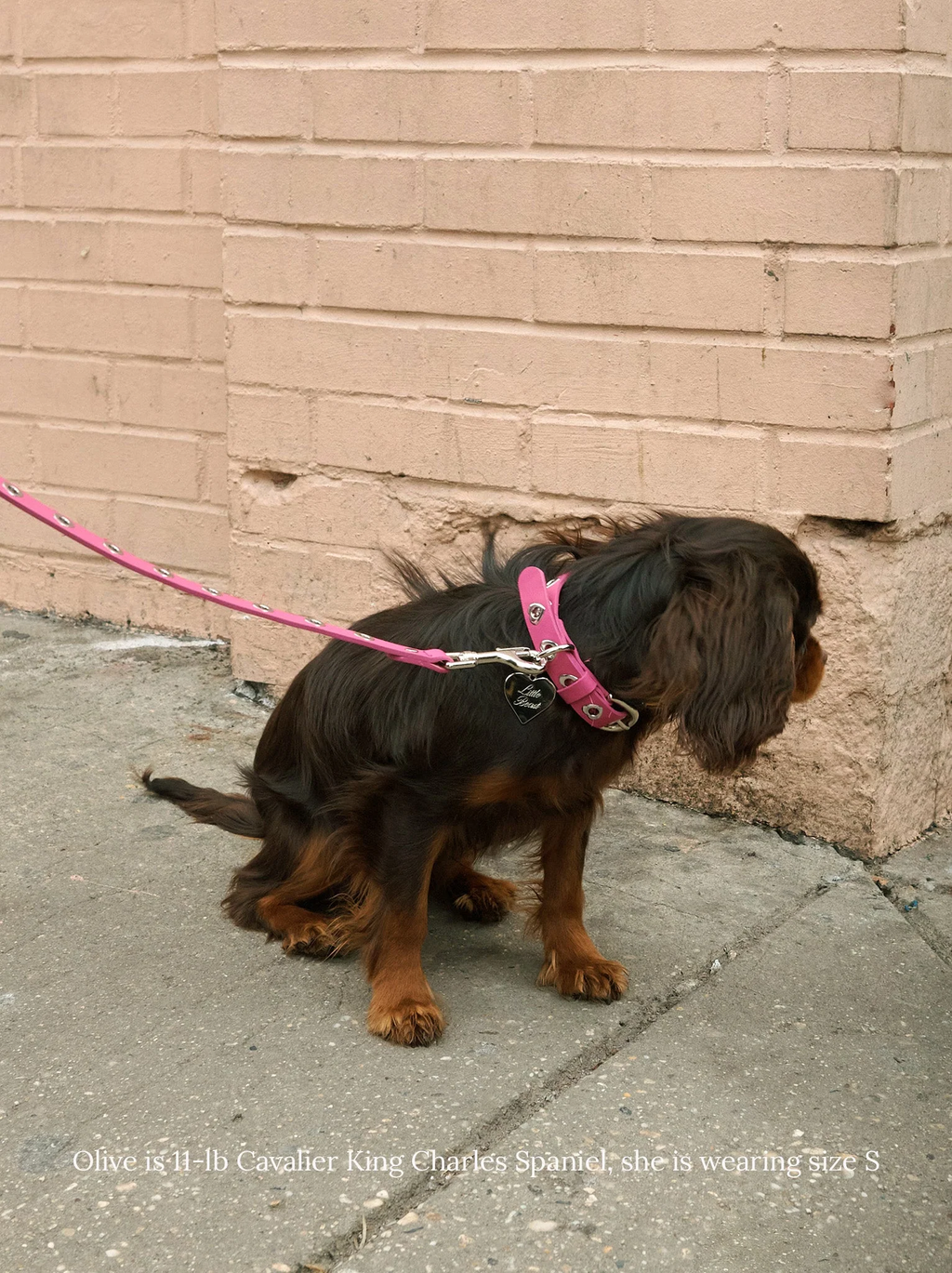 You Mean the World to Me Collar - Peony