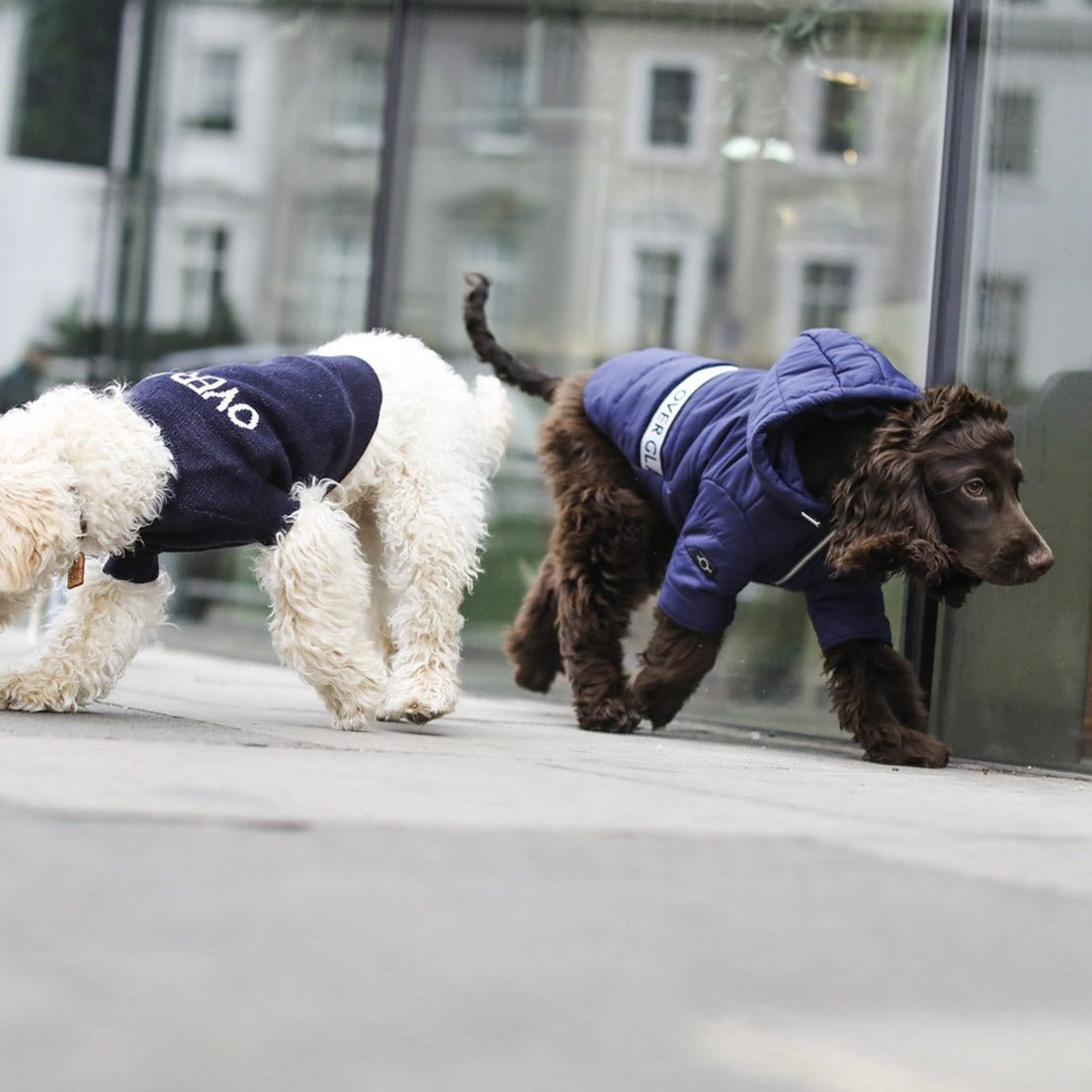 Zip up Puffer Jacket (Navy)