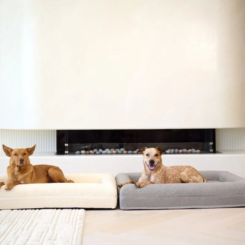 Memory Foam Dog Bed - Bouclé Pebble