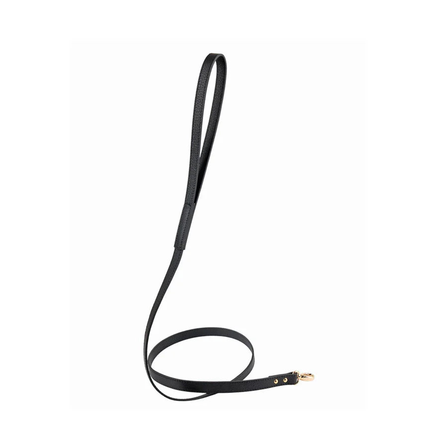 Balley Dog Leash by Moshiqa