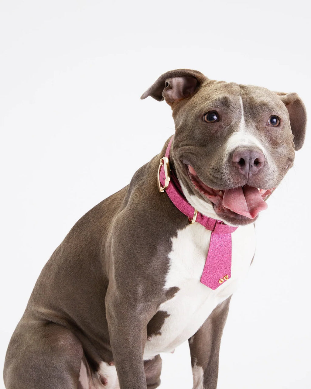 Christian Cowan Dog Tie
