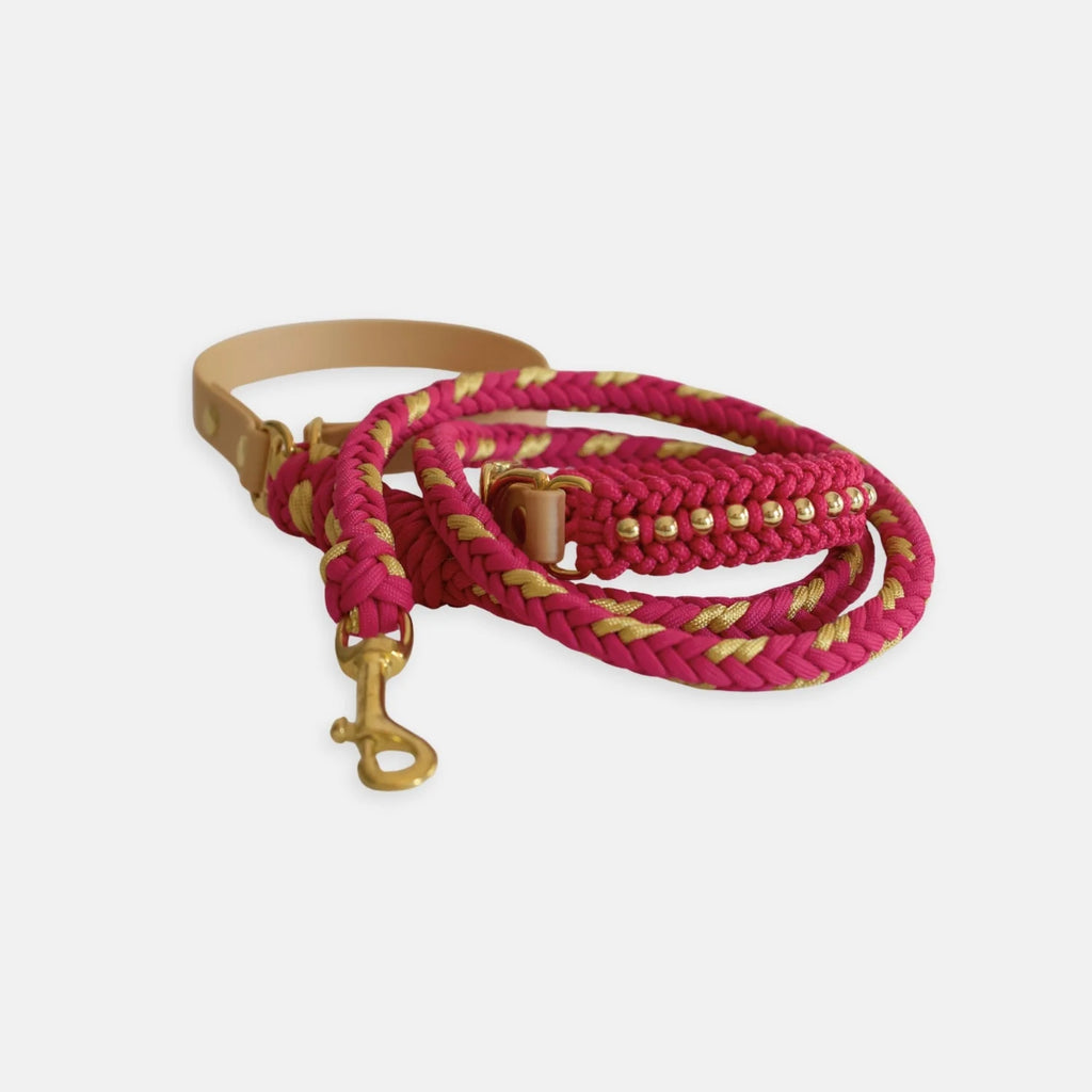 Valentina Rosé Pink Collar