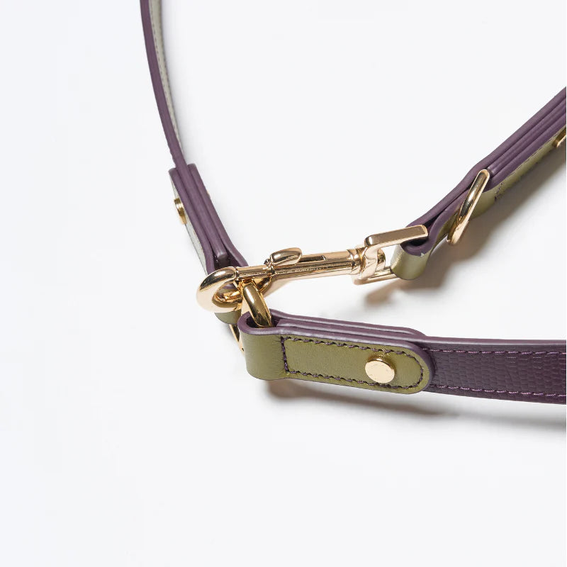 Purrble Hands-Free Dog Leash