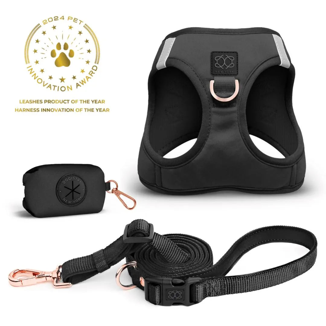 Soho Dog Walking Set - Black