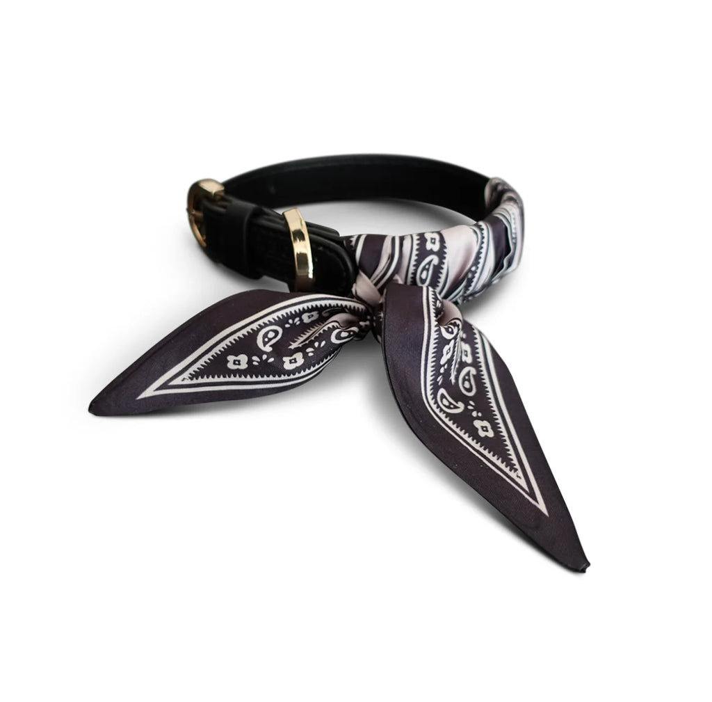 Dog Collar Twilly Paisley - Black