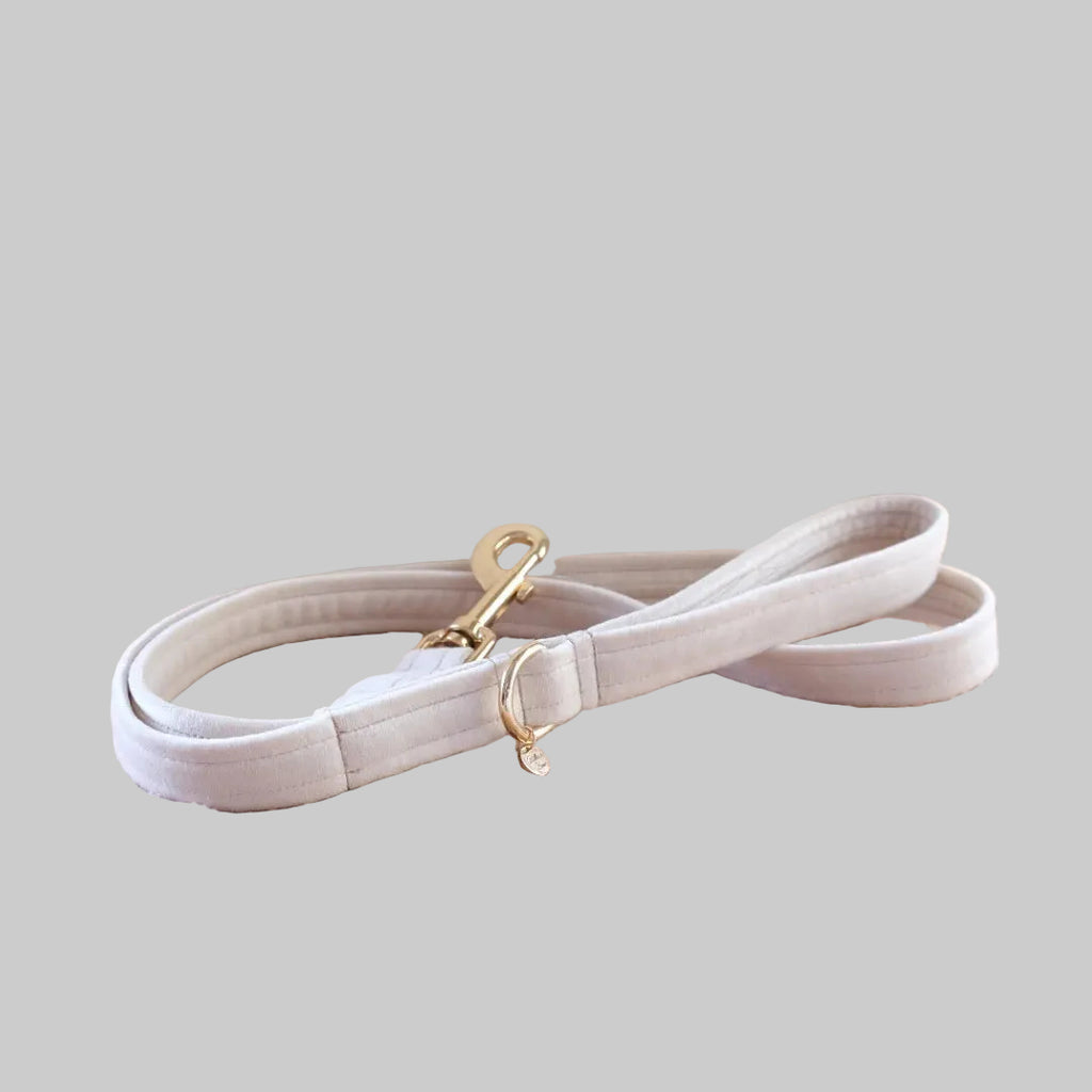 Velvet Bow Collar Set