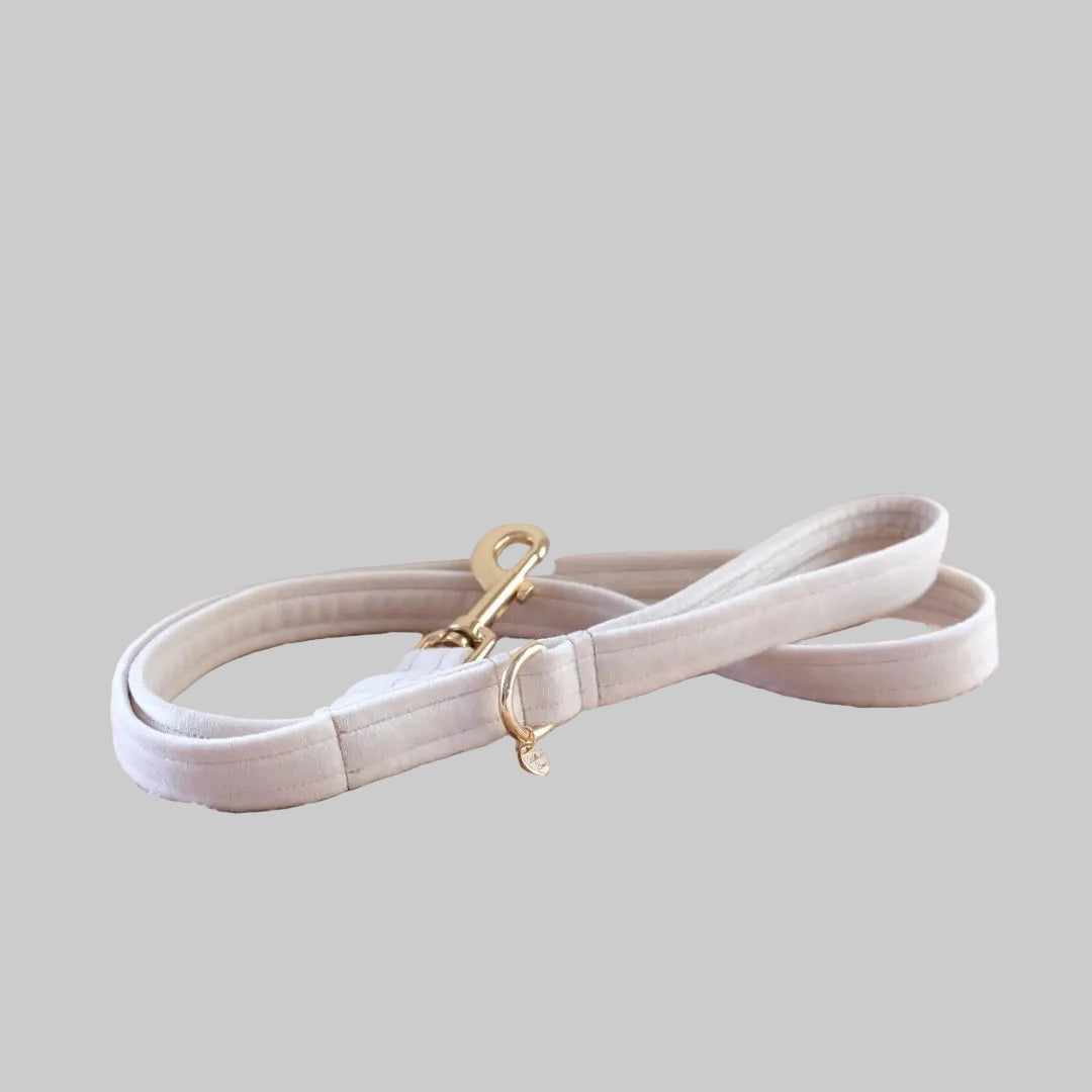 Velvet Bow Collar Set