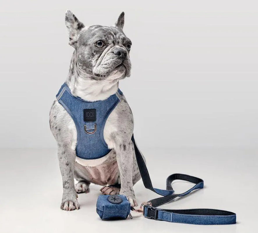 Soho Dog Walking Set - Denim
