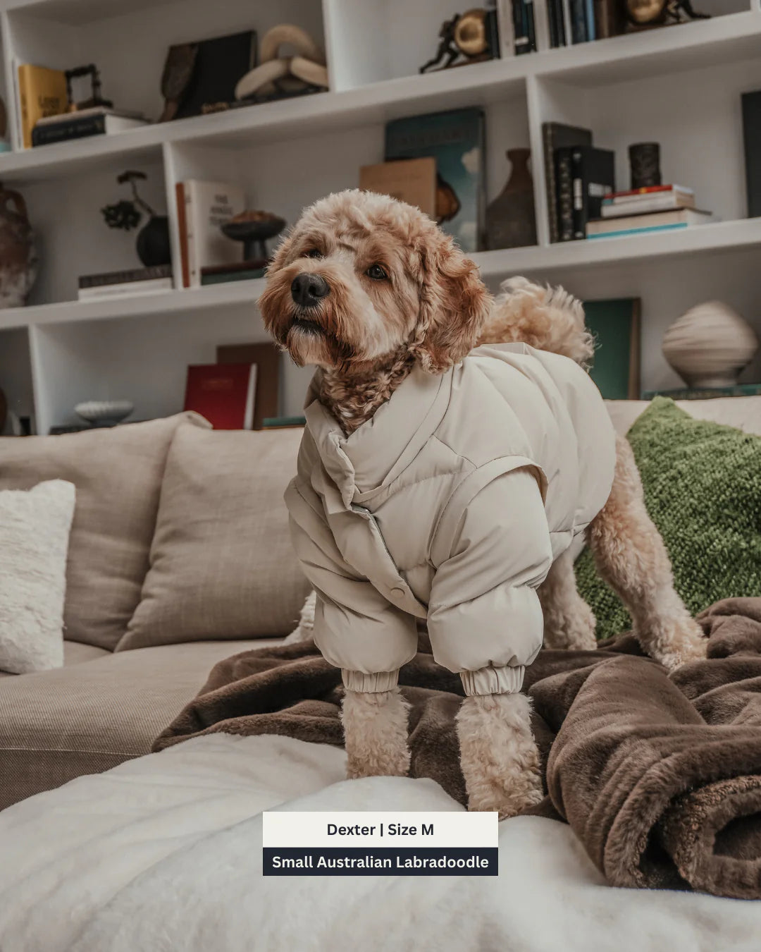 Marshmallow | the Modular Puffer