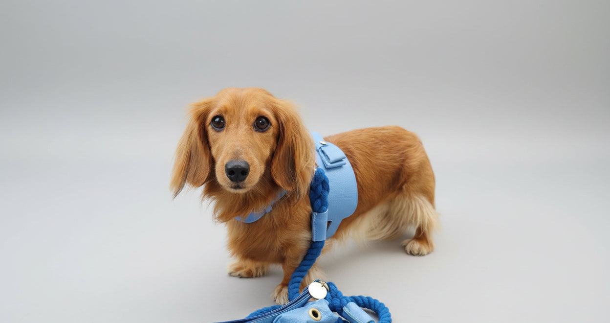 Handcrafted Leather Harness