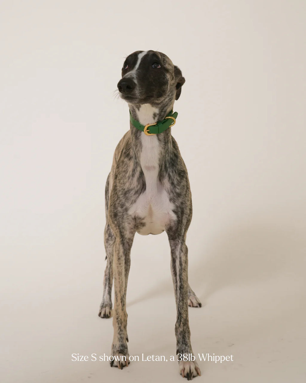 Athlete Collar
