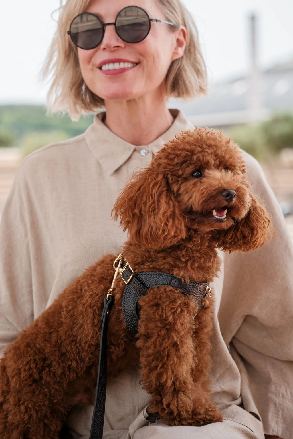 Black Leather Juno Dog Harness