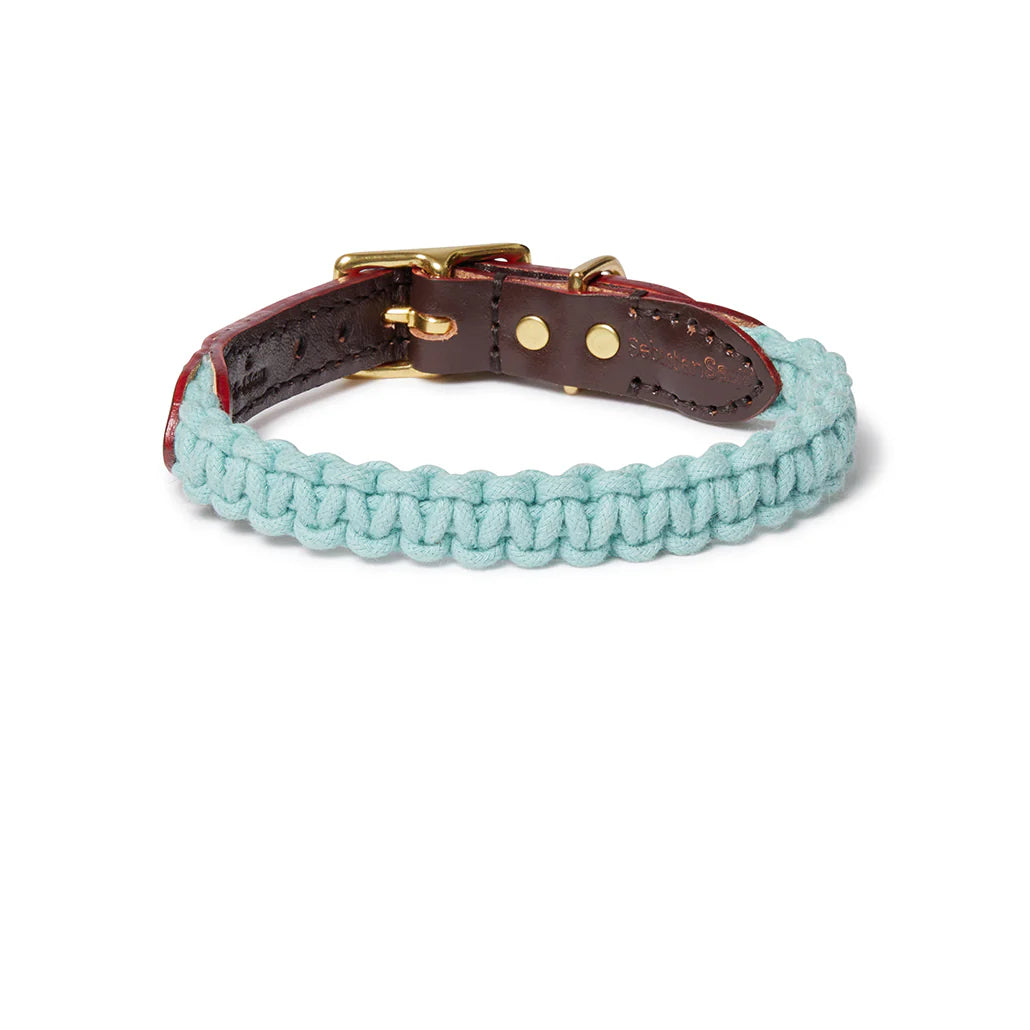 Macramé/Leather Dog Collar - Blue