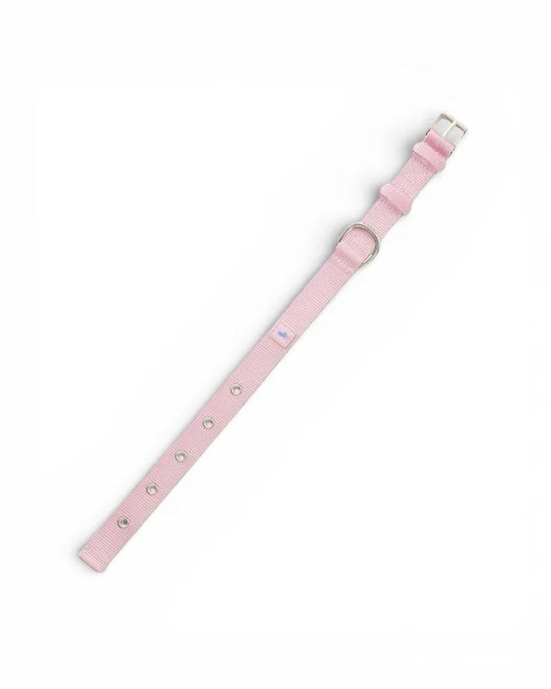 Polo Ralph Lauren Nylon Dog Collar