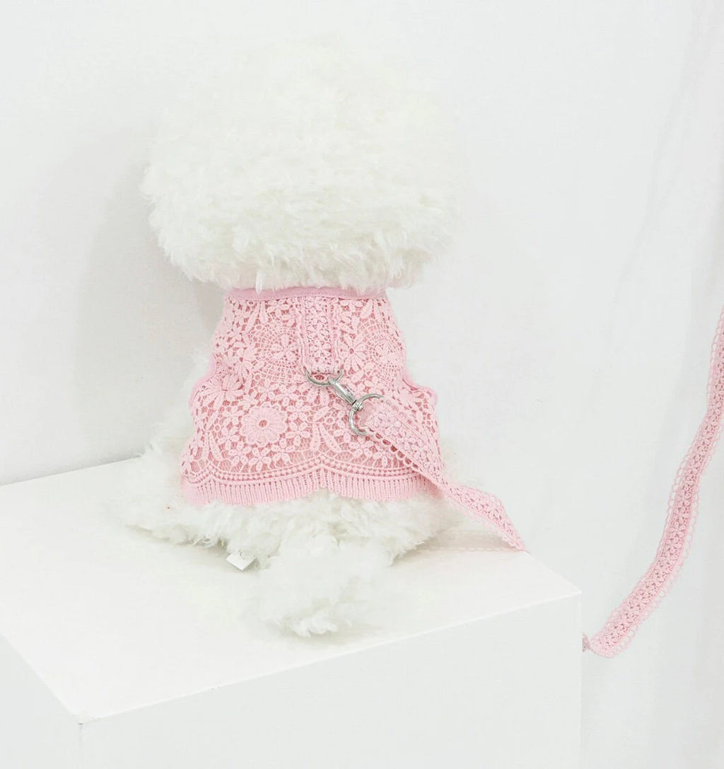 Lace Harness Dress & Leash Set