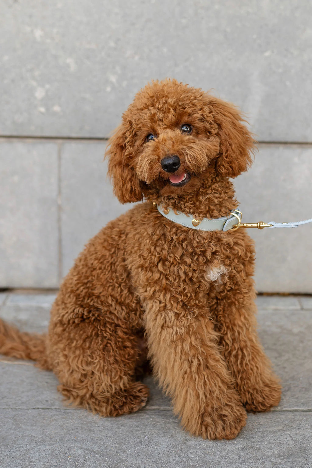 Sky Blue Leather Nara Dog Collar