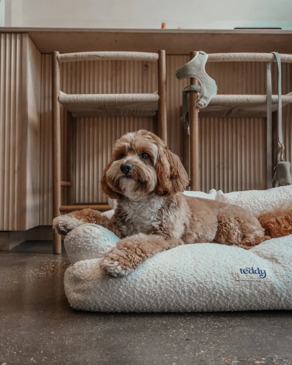Marshmallow | the Teddington Sofa
