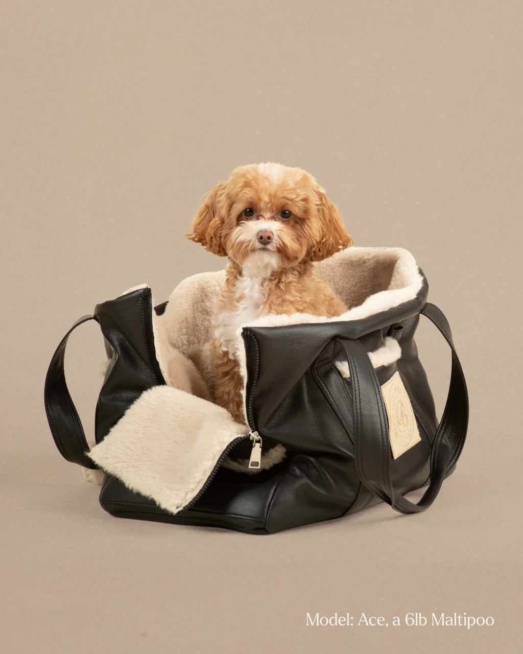 Brooklyn Tote