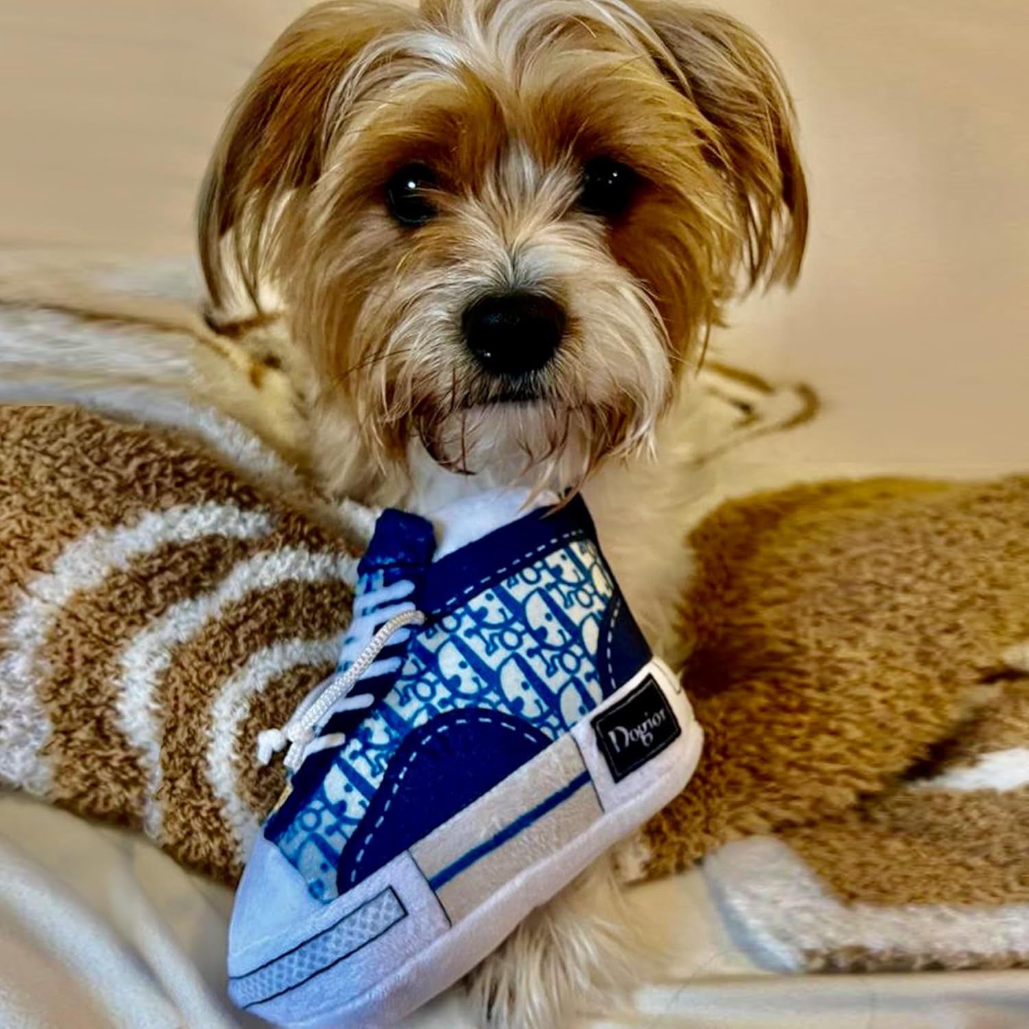 Dogior Sneaker - Plush Designer Toy