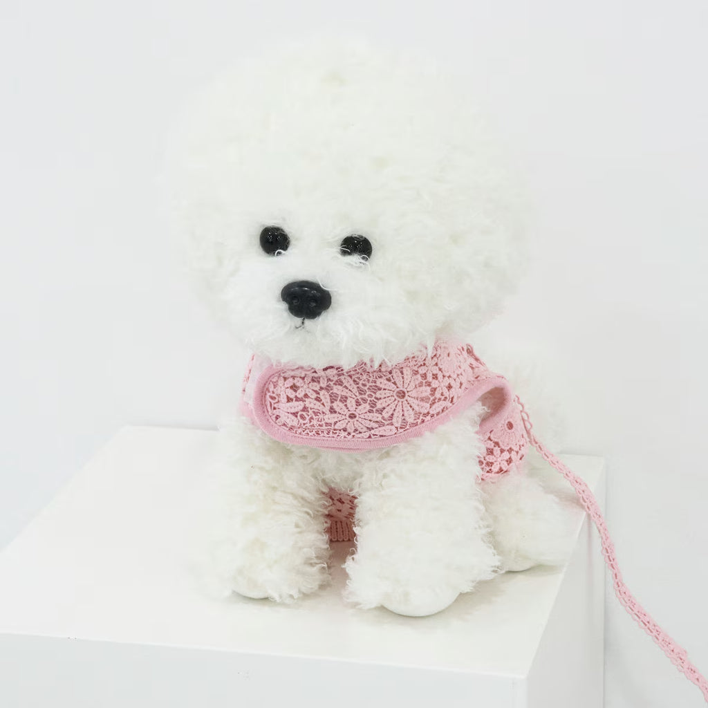 Lace Harness Dress & Leash Set